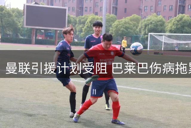 曼联引援计划受阻 巴莱巴伤病拖累 纽卡力保霍尔
