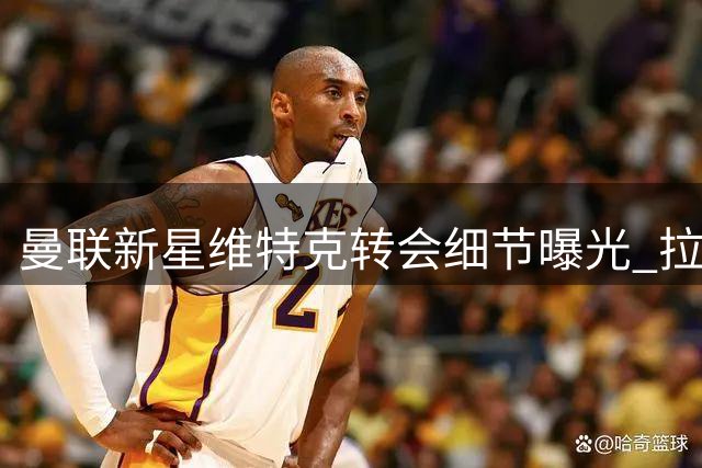 曼联新星维特克转会细节曝光 拉什福德引多国球队争夺